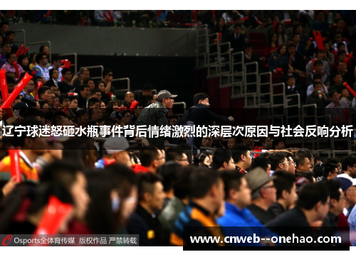 辽宁球迷怒砸水瓶事件背后情绪激烈的深层次原因与社会反响分析