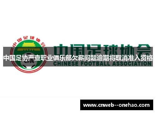 中国足协严查职业俱乐部欠薪问题逾期将取消准入资格